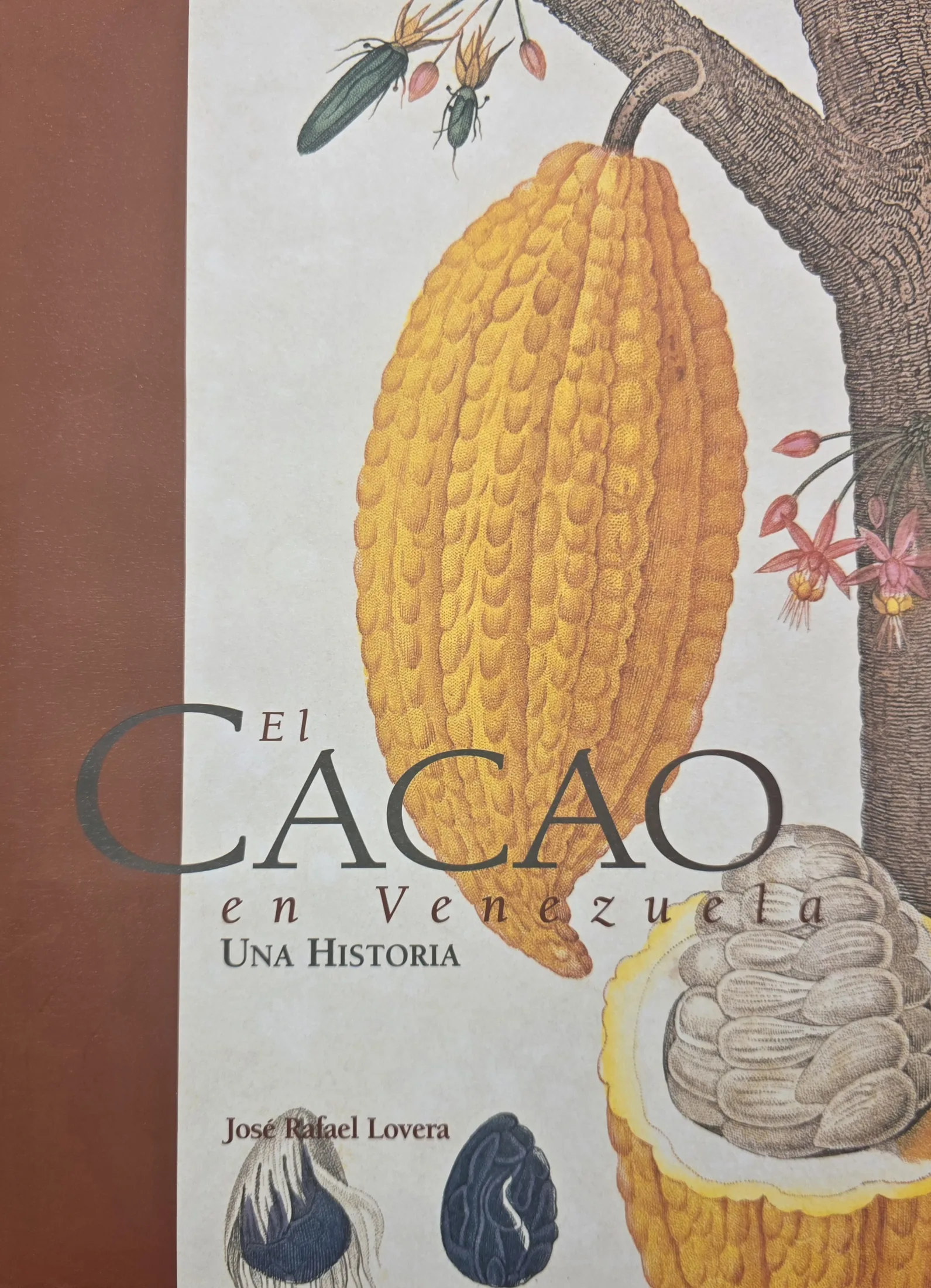 Cover: Cacao in Venezuela &mdash; A History, by Jos&eacute; Rafael Lovera